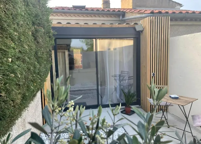 La Salamandre De L Olivier - Le Magnolia Aubignosc