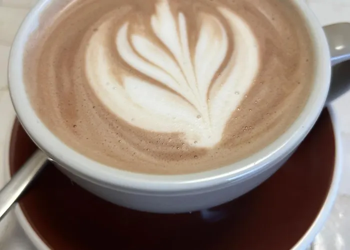 La Salamandre De L Olivier - Le Magnolia Aubignosc