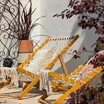 La Salamandre De L Olivier - Le Magnolia *