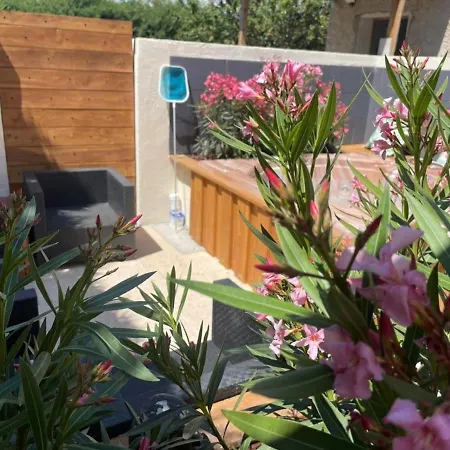 La Salamandre De L Olivier - Le Magnolia Holiday home Aubignosc