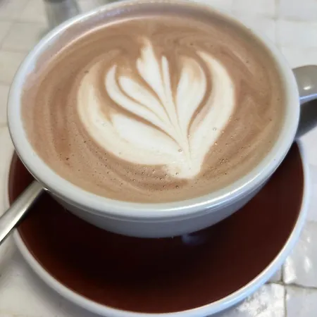 La Salamandre De L Olivier - Le Magnolia Aubignosc