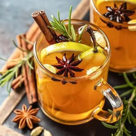 La Salamandre De L Olivier - Le Magnolia Aubignosc