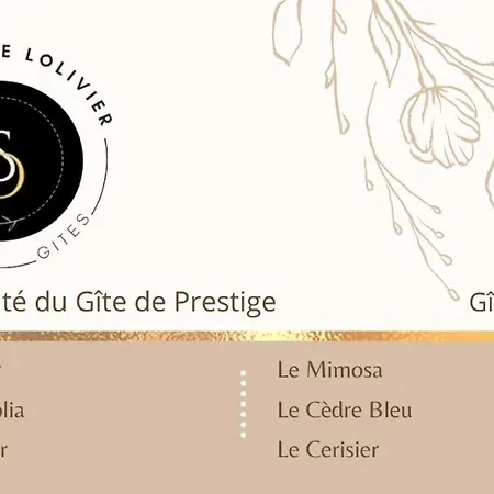 La Salamandre De L Olivier - Le Magnolia * Aubignosc