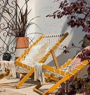 La Salamandre De L Olivier - Le Magnolia *