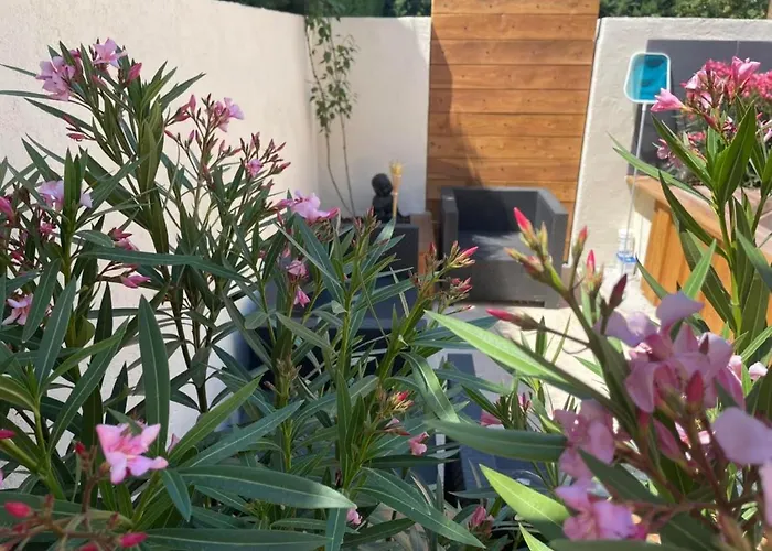 Holiday home La Salamandre De L Olivier - Le Magnolia