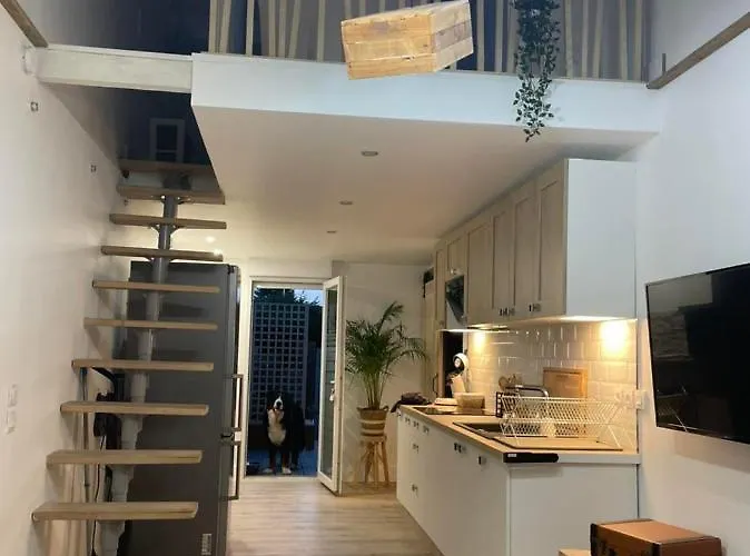 Holiday home La Salamandre De L Olivier - Le Magnolia Aubignosc