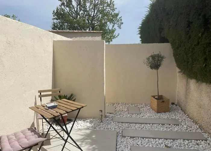 La Salamandre De L Olivier - Le Magnolia Aubignosc