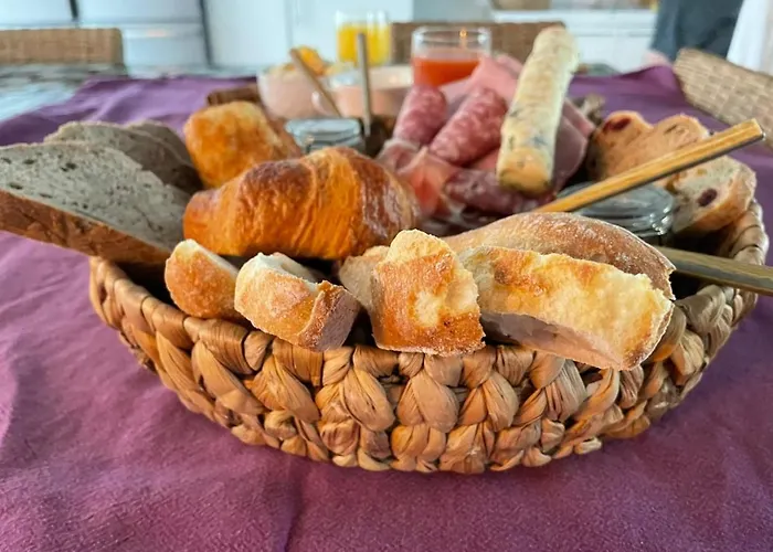 La Salamandre De L Olivier - Le Magnolia