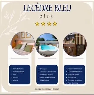 La Salamandre De L Olivier - Le Magnolia Holiday home